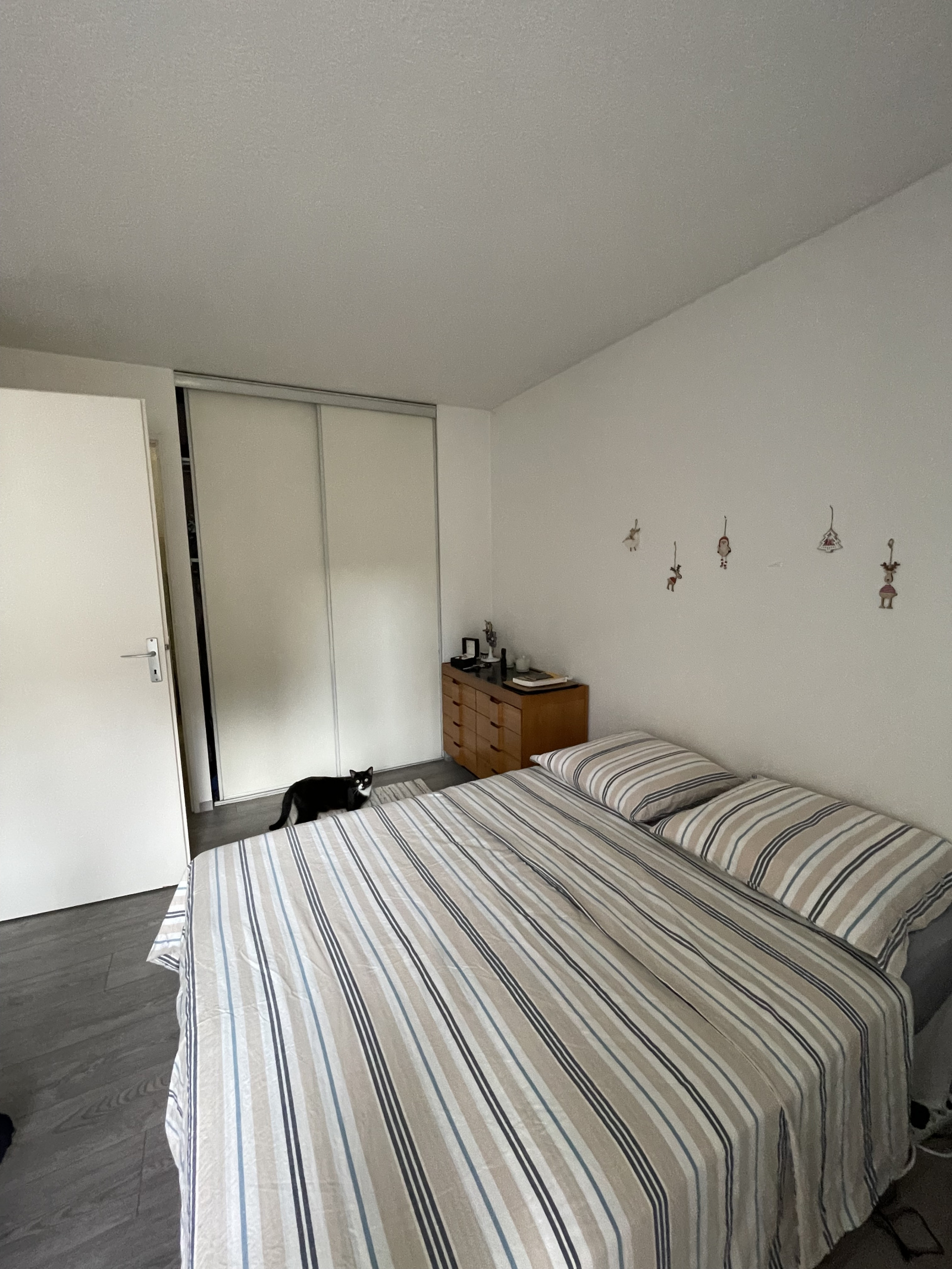 Image_, Appartement, Bordeaux, ref :10102020